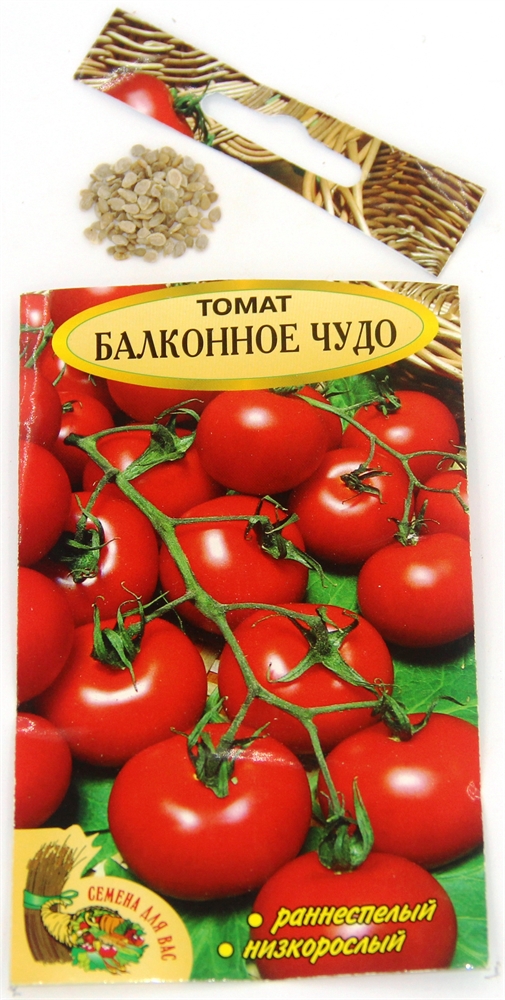 Семена балконных помидоров. Томат балконное чудо. Сорта балконных помидор название и фото.