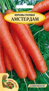 Семена. Морковь столовая "Амстердам" РС1, 2 гр. Раннеспелый сорт, 20-25 см - фото 4846