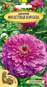 Семена. Цинния "Фиолетовая королева" 0,3 грамма - фото 5240