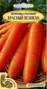 Семена. Морковь столовая "Красный Великан" РС1, 2 грамма. Позднеспелый сорт, тупоконечной формы. 22-24 см - фото 5347