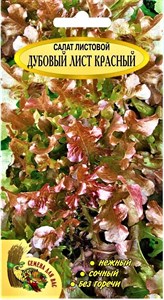 Польша. Салат "Дубовый лист красный", 0,5 г. Нежный, сочный, без горечи - фото 5533