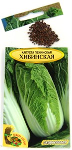 Семена. Капуста пекинская "Хибинская" РС1, 0,5 грамм. Скороспелая, урожайная 2156 - фото 5607