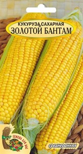 Семена. Кукуруза сахарная "Золотой Бантам" РС1, 5 грамм, среднеранняя