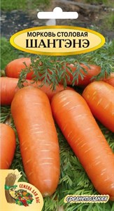 Семена. Морковь столовая "Шантэнэ" РС1, 2 грамма. Среднепоздняя, сочная