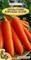 Семена. Морковь столовая "Королева Осени" РС1, 2 грамма. Среднепоздний, тупоконечной формы, до 25 см - фото 4859