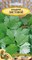 Семена. Сельдерей "Листовой" РС1, 1 грамм. Двулетняя пряность, ароматный, темно-зеленый - фото 4928