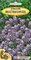 Семена. Алиссум "Фиолетовая Королева" 0,2 грамма. Однолетник, фиолетовый, карликовый10-15 см - фото 4985