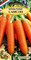 Семена. Морковь столовая "Самсон" РС1, 0,5 гр. Среднеспелая, 110-120 дн, цилиндрическая, тупоконечная, 16-20 см - фото 5365
