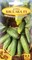Белорусские семена. Огурец "Вясёлка" F1, 0,5 гр. Раннеспелый, пчелоопыляемый, засолочный, 8-9 см. - фото 5714